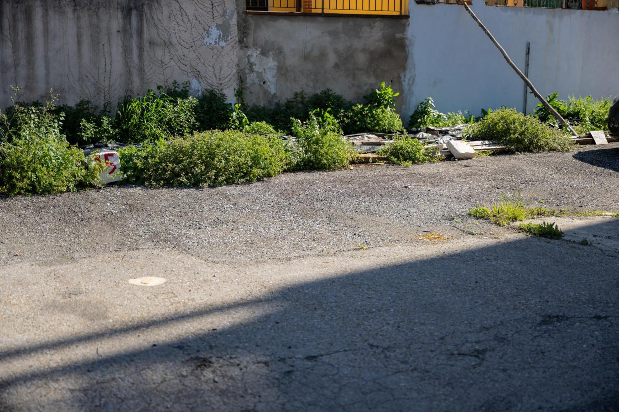 Tipica Cozy House + Parking! Apartment Florence Ngoại thất bức ảnh
